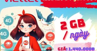 Gói cước 12SD120 Viettel: Có 2GB mỗi ngày, sử dụng 1 năm